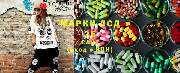 apvp Алзамай