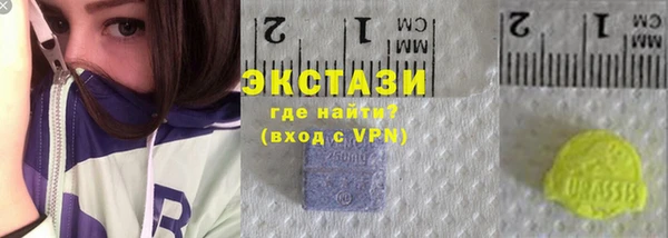 apvp Алзамай