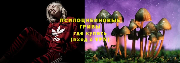 apvp Алзамай