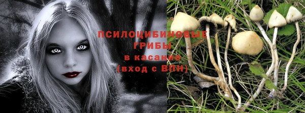 гашик Абаза